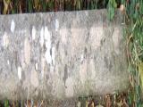 image of grave number 286195
